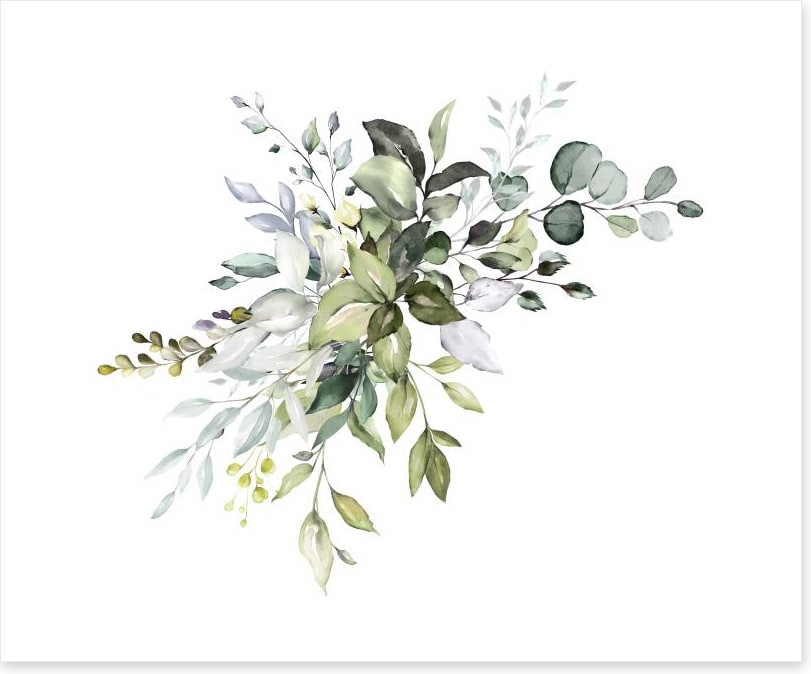 Soft Eucalypt
