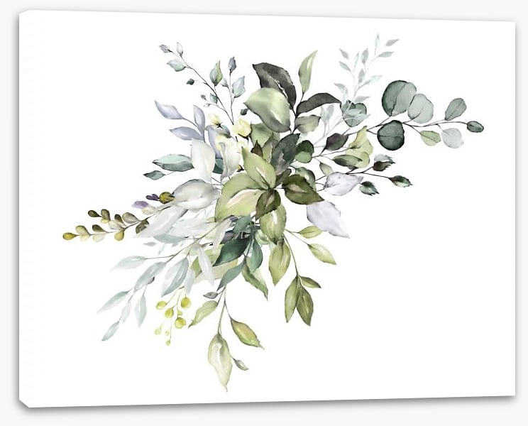 Soft Eucalypt
