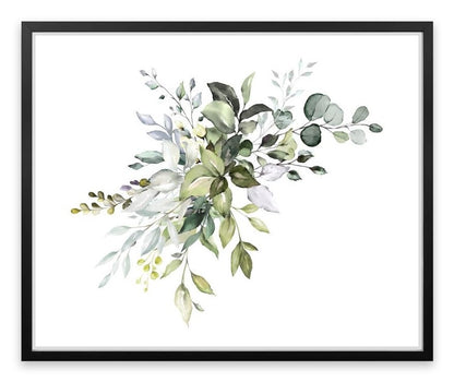 Soft Eucalypt
