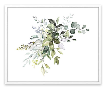 Soft Eucalypt