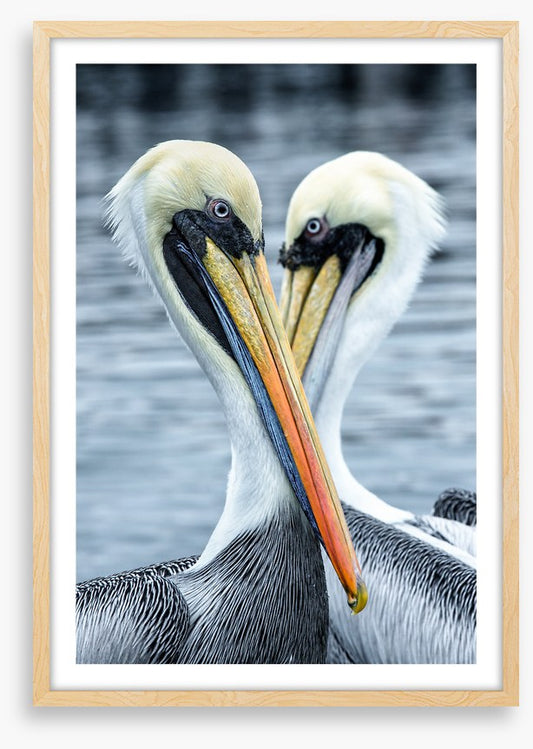 Seeing eye to eye