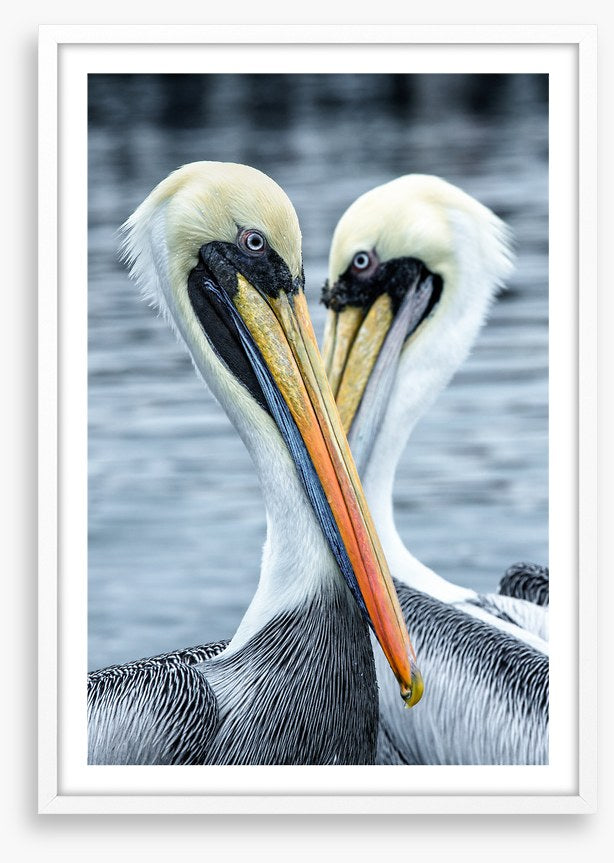 Seeing eye to eye