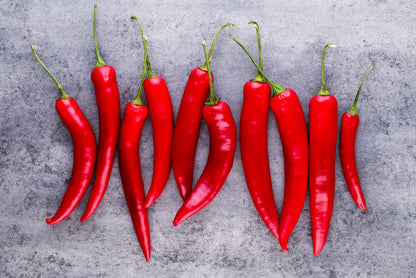 The hot ten