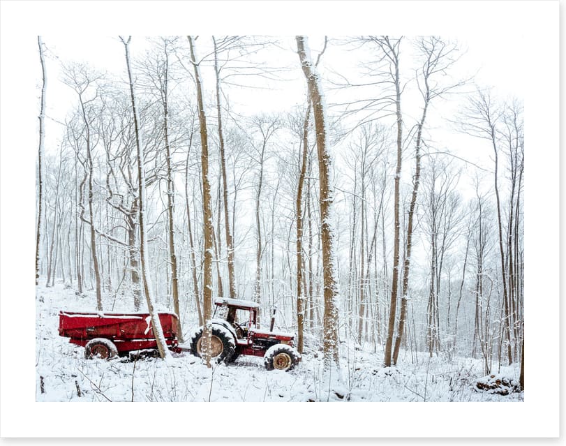 Winter