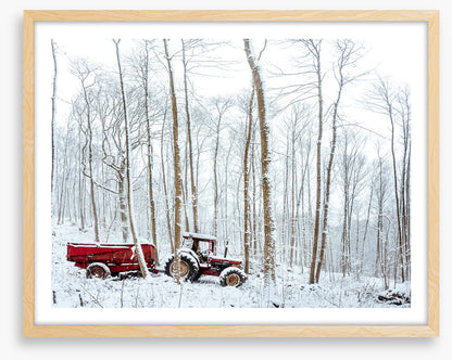 Winter