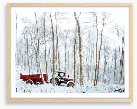 Winter