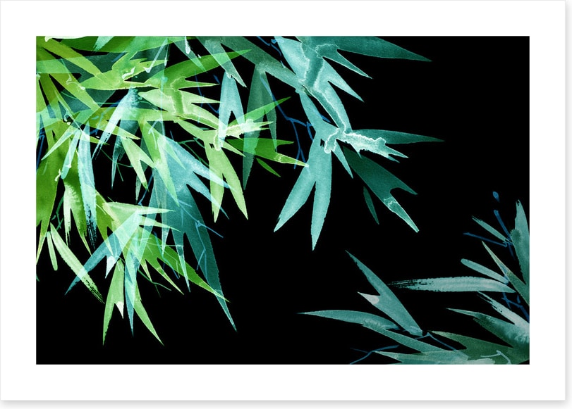 Leaves of the night