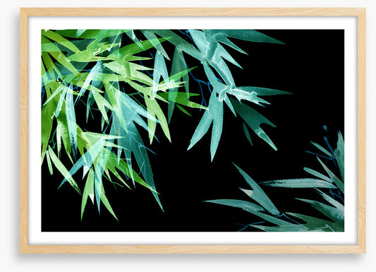 Leaves of the night