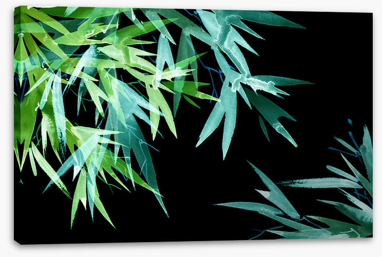 Leaves of the night