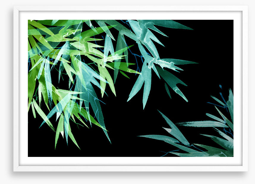 Leaves of the night
