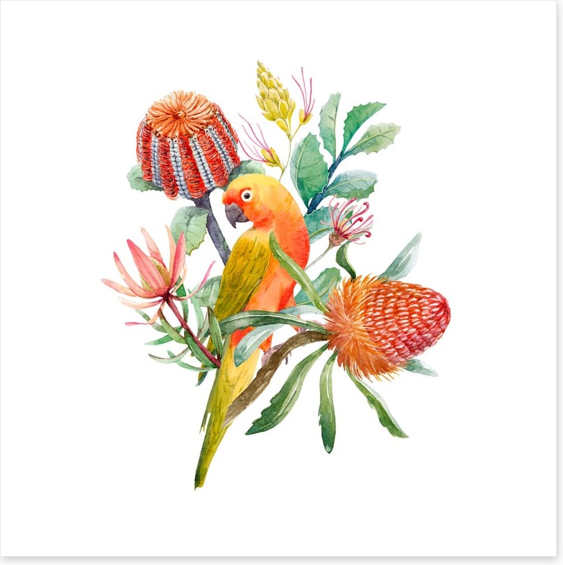 King parrot perch