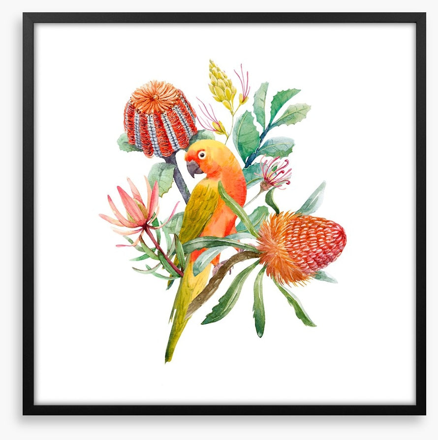 King parrot perch
