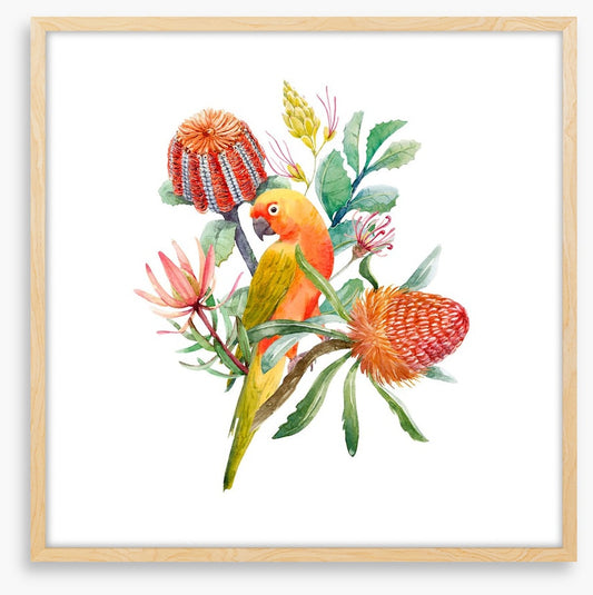 King parrot perch
