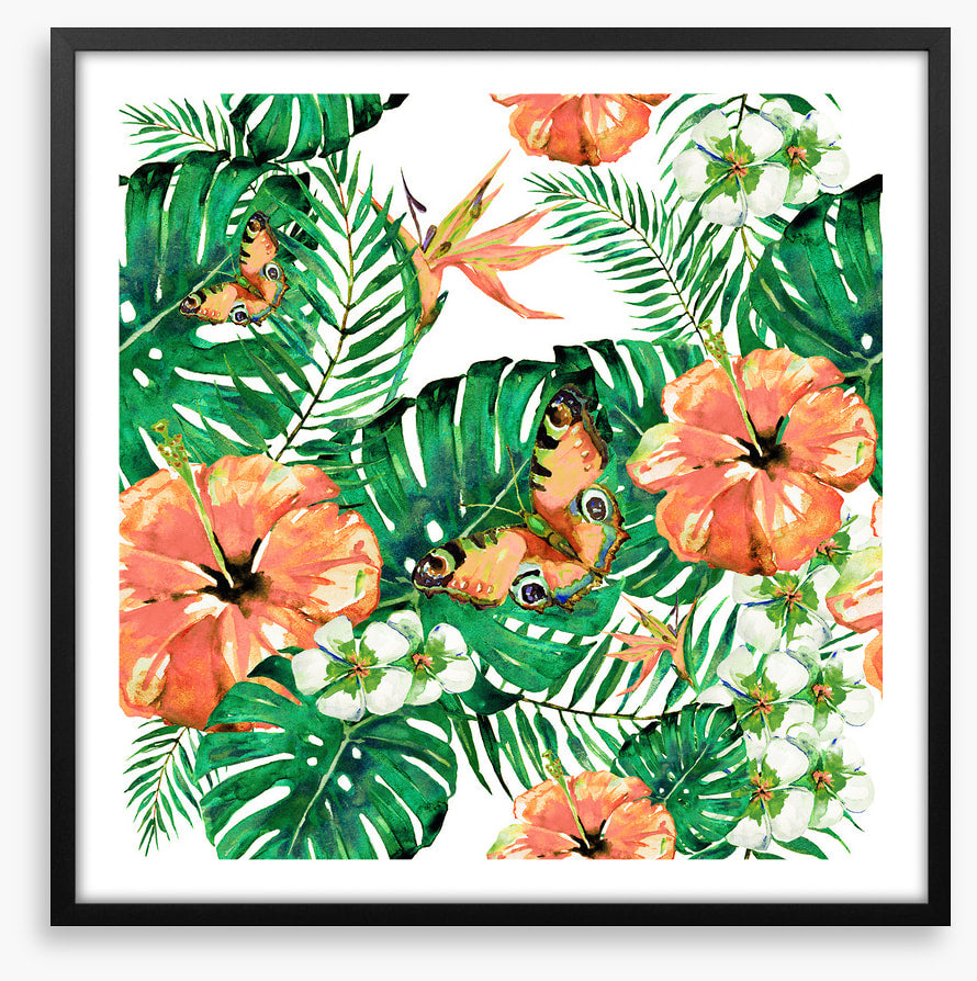Aloha butterflies