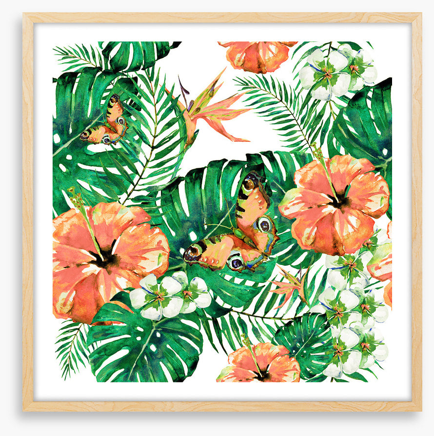 Aloha butterflies