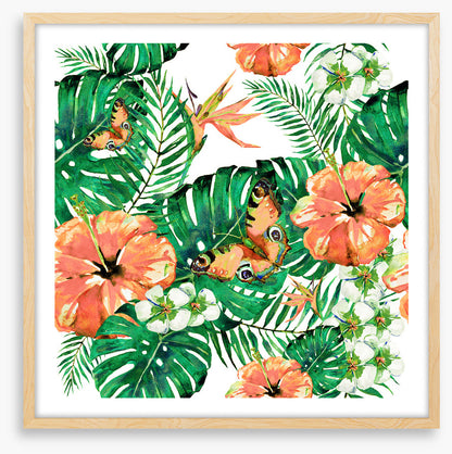 Aloha butterflies