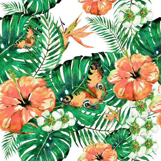 Aloha butterflies