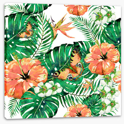 Aloha butterflies