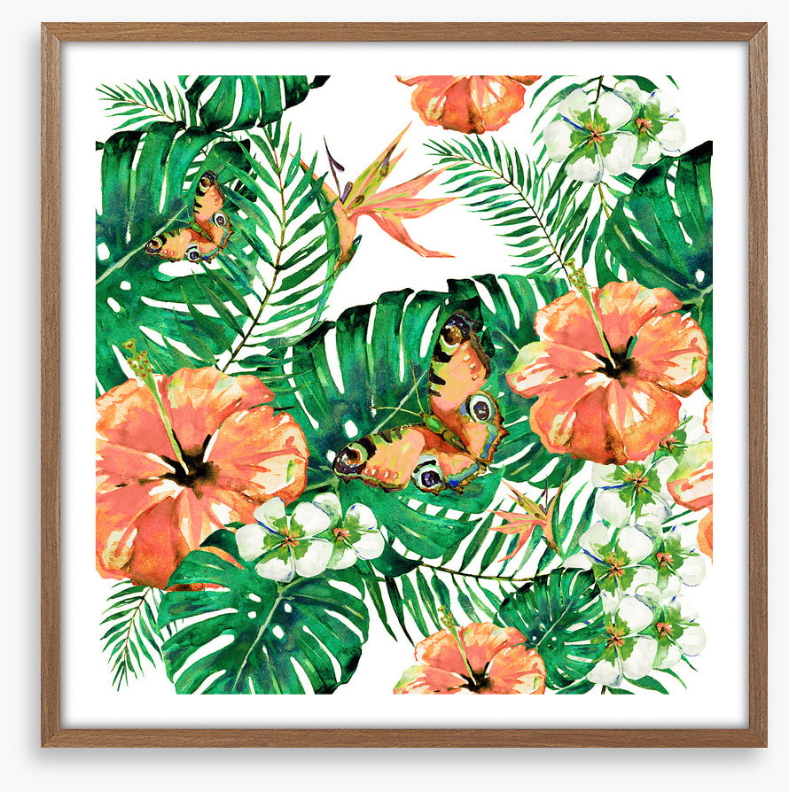 Aloha butterflies
