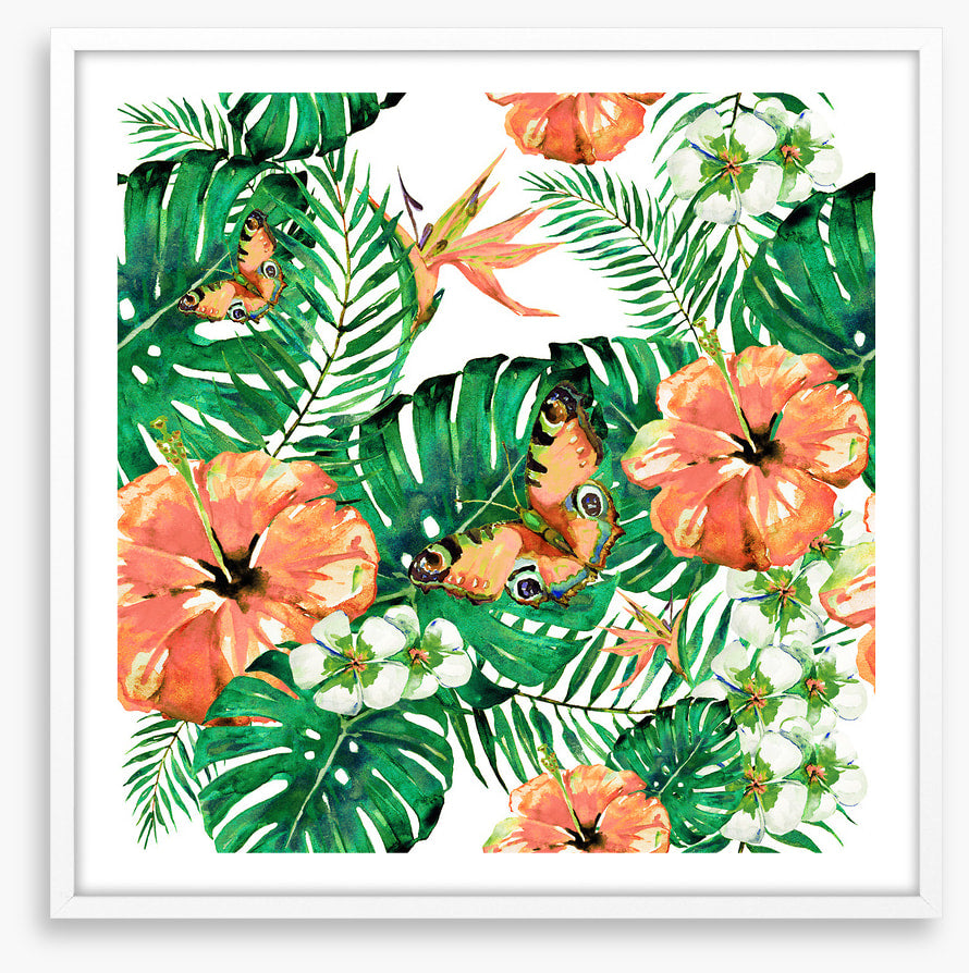 Aloha butterflies