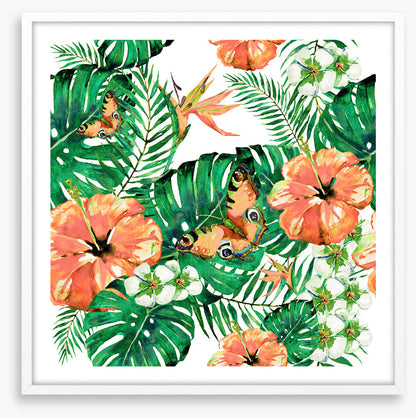 Aloha butterflies