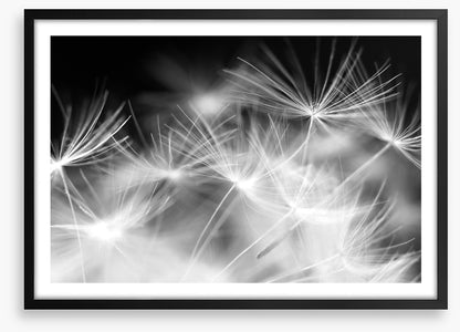 Blowballs