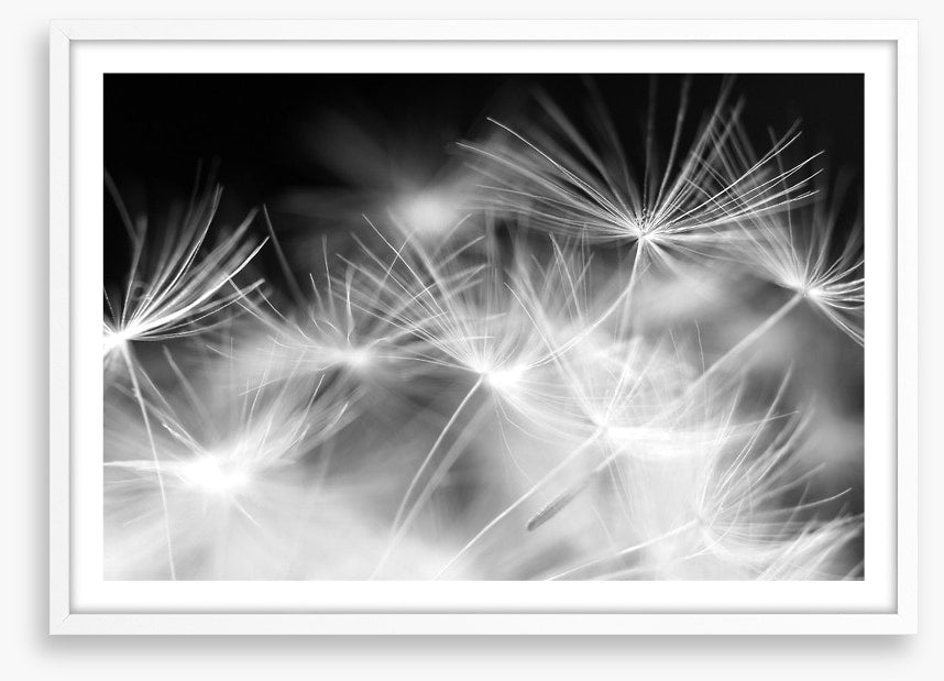 Blowballs