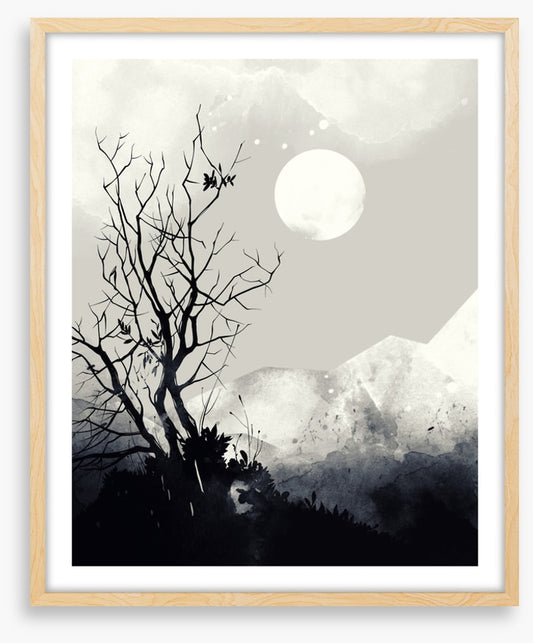 Light of the moon