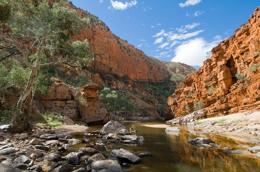 Alone at Ormiston Gorge