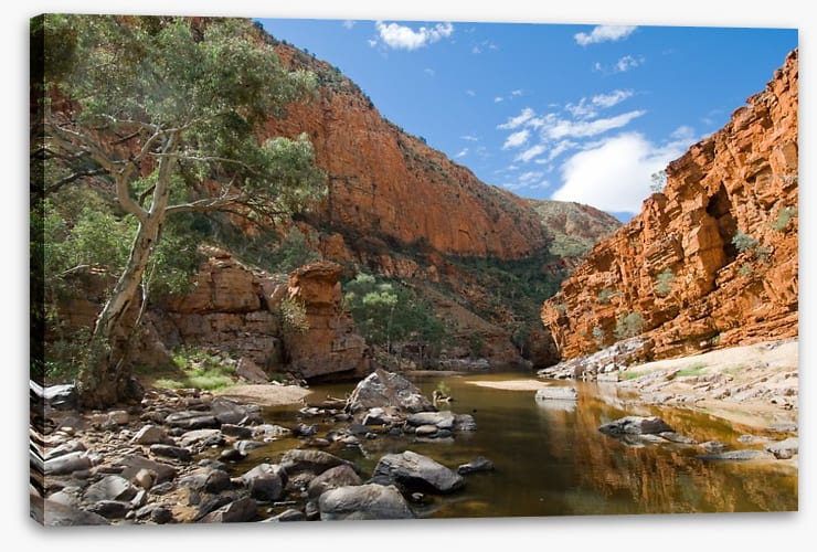 Alone at Ormiston Gorge
