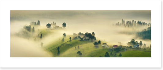 A misty morning