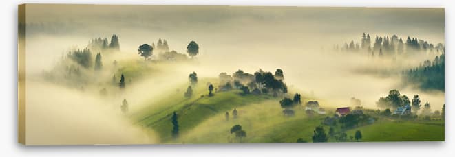 A misty morning