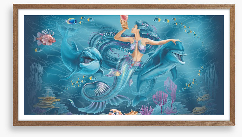 Calling the dolphins