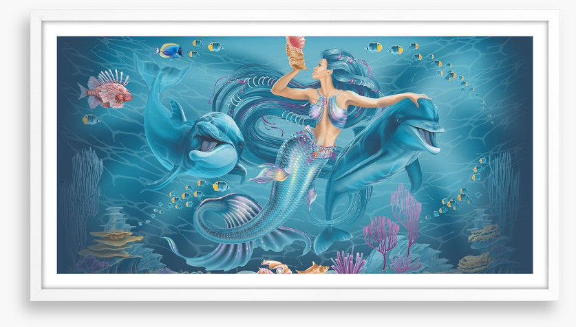 Calling the dolphins