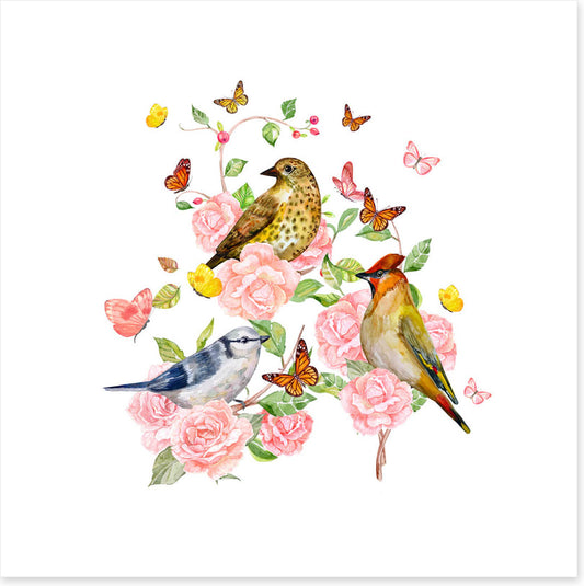 Songbird trio