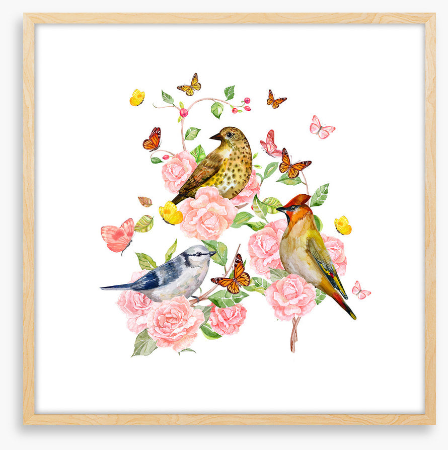 Songbird trio