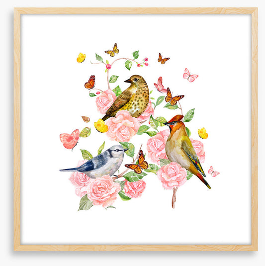 Songbird trio