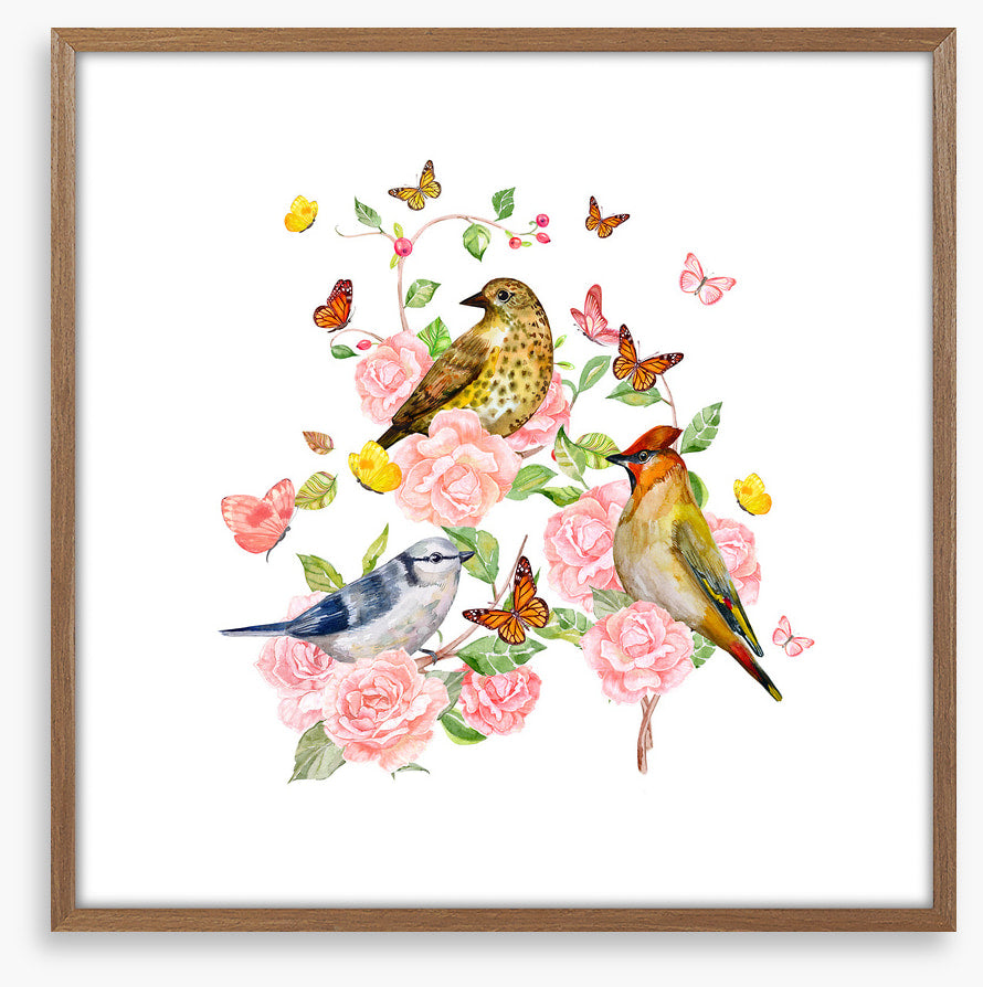 Songbird trio