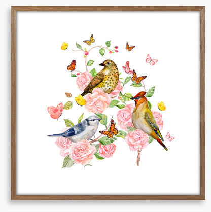 Songbird trio
