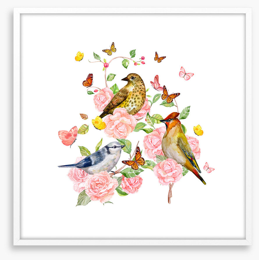 Songbird trio