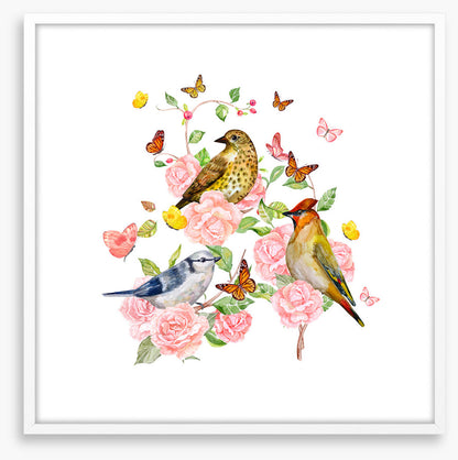 Songbird trio