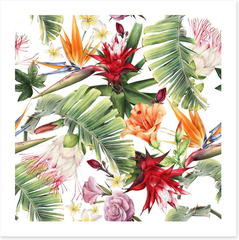 Luau blooms