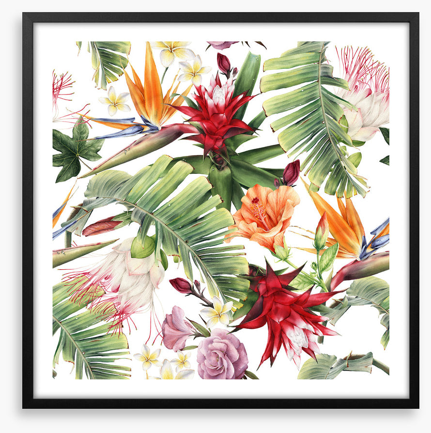 Luau blooms