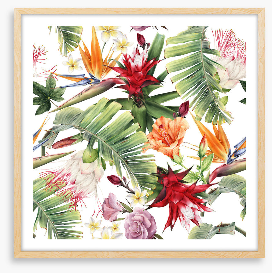 Luau blooms