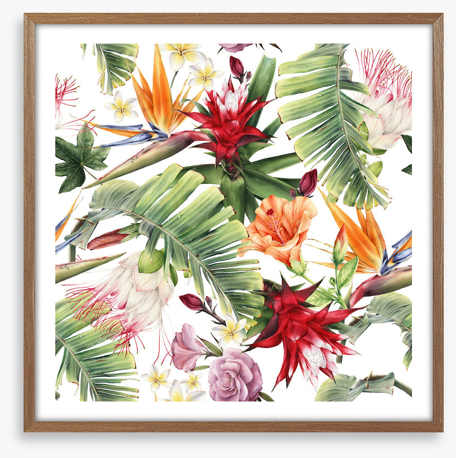 Luau blooms