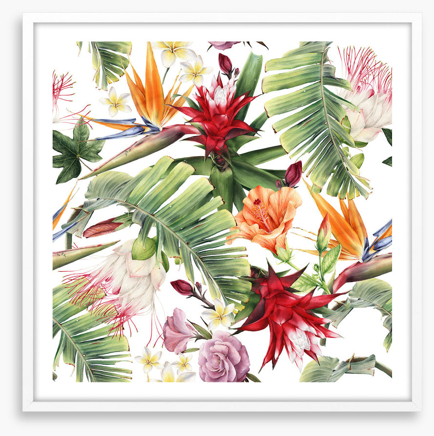 Luau blooms