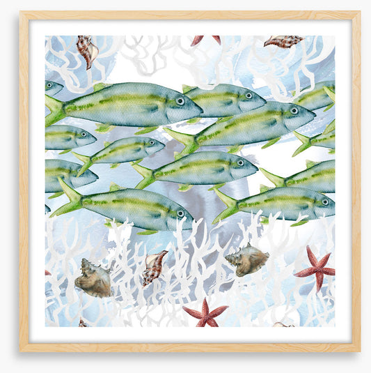 Swimming lane