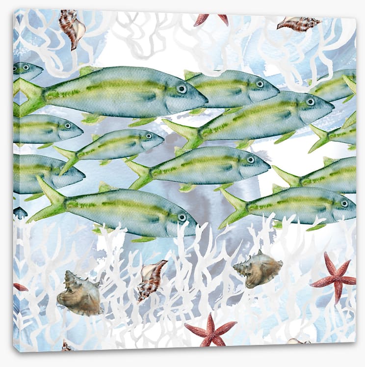 Swimming lane