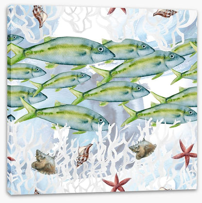 Swimming lane