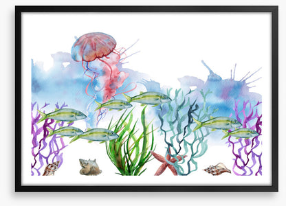 Seaweed shoal